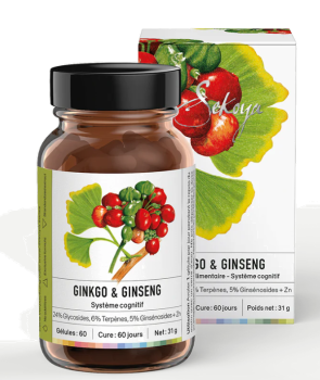 GINKGO & GINSENG